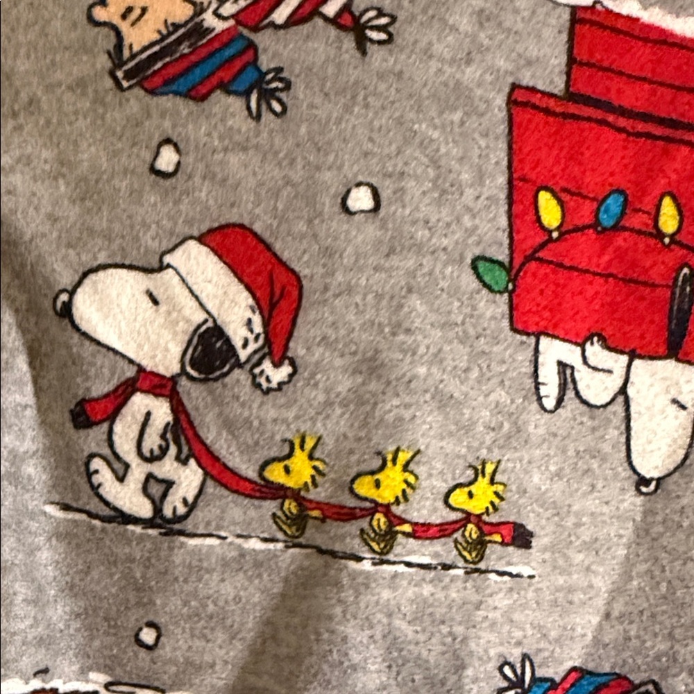 Peanuts Gray Pajamas- top and pants- with Snoopy and The Peanuts gang. Large - Picture 6 of 8